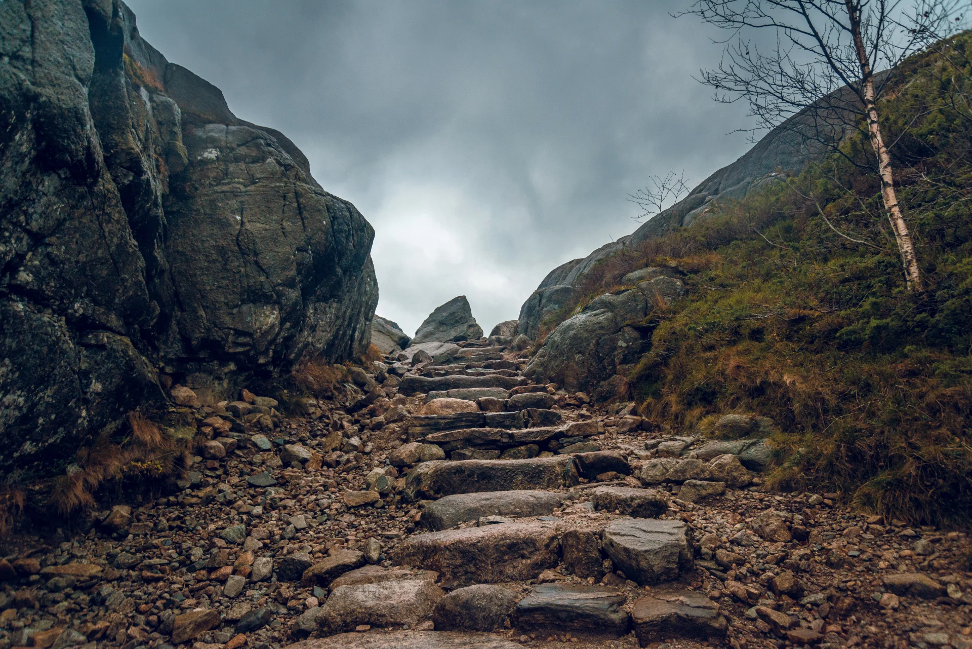 Ancient Paths: The Truth We Never Truly Forgot